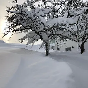 https://allgauliebe-oy-mittelberg.com-bavaria.com